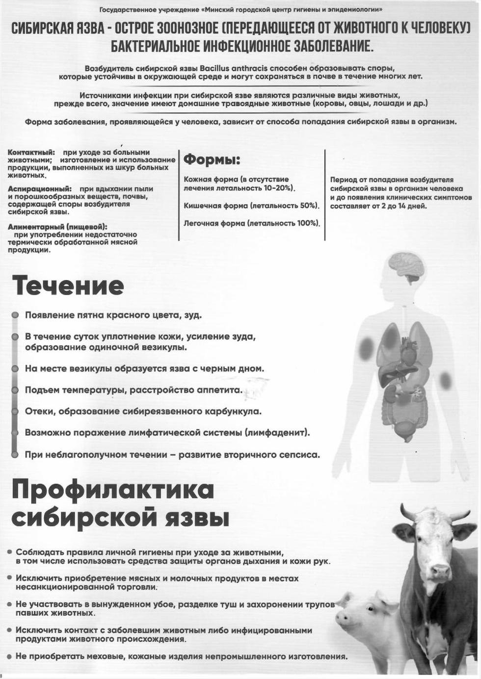 n 020626 1