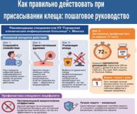 Как правильно действовать при присасывании клеща : пошаговое руководство.